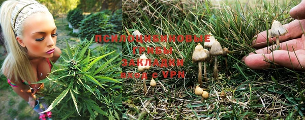ECSTASY Абаза