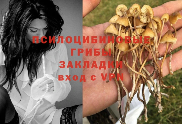 альфа пвп Ростов